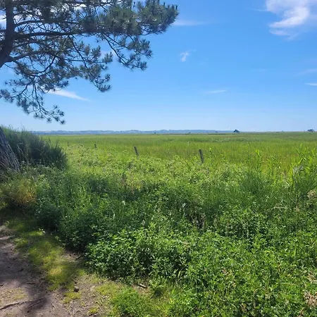 6 Person In Holiday home *